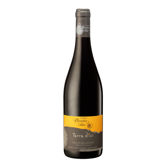 Terre d'Ici 2023 Rouge Chez Plaisirs du vin Agen