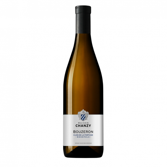 Bouzeron Clos de la Fortune Monopole 2023 Blanc Chez Plaisirs du vin Agen