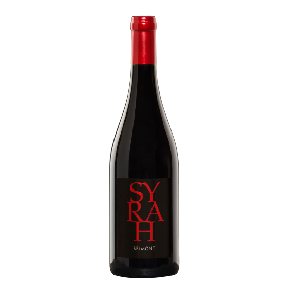 Syrah 2021 Rouge Chez Plaisirs du vin Agen