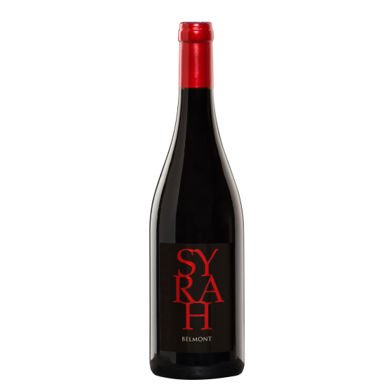 Syrah 2020 Rouge Chez Plaisirs du vin Agen