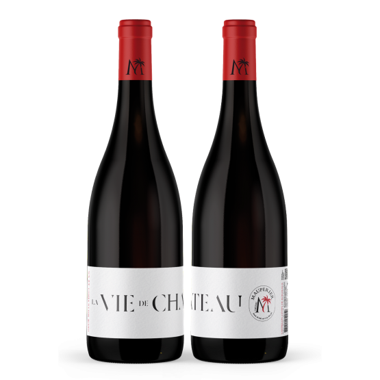 La VIE de CHATEAU 2020 Rouge Chez Plaisirs du vin Agen