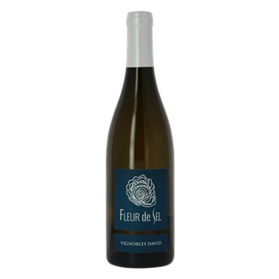 Fleur de Sel Blanc 2023 Magnum Chez Plaisirs du vin Agen