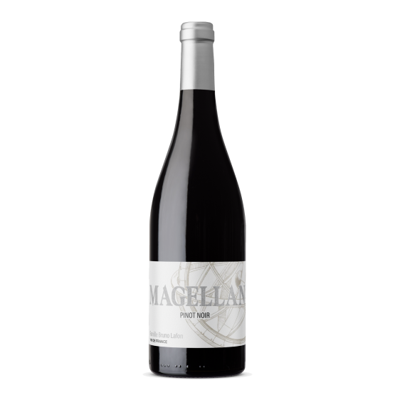 Pinot Noir 2023 Rouge Chez Plaisirs du vin Agen