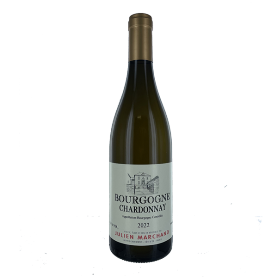 Bourgogne Chardonnay 2022 Blanc Chez Plaisirs du vin Agen