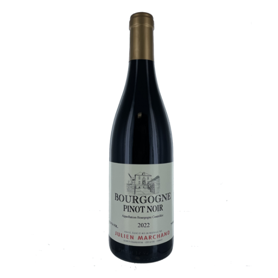 Bourgogne Pinot Noir 2022 Rouge Chez Plaisirs du vin Agen