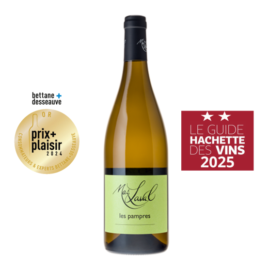 Les Pampres 2024 Blanc Chez Plaisirs du vin Agen