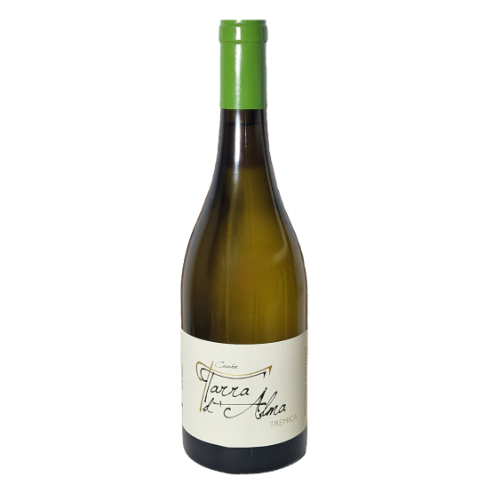 Tarra d'Alma Blanc 2025 Chez Plaisirs du vin Agen