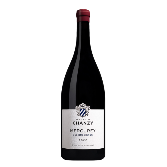 Mercurey Les Bussières 2023 rouge Magnum Chez Plaisirs du vin Agen