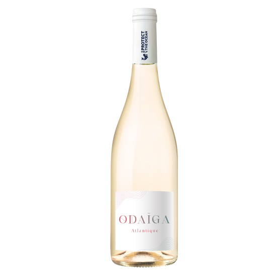 Odaïga Blanc 2025 Chez Plaisirs du vin Agen