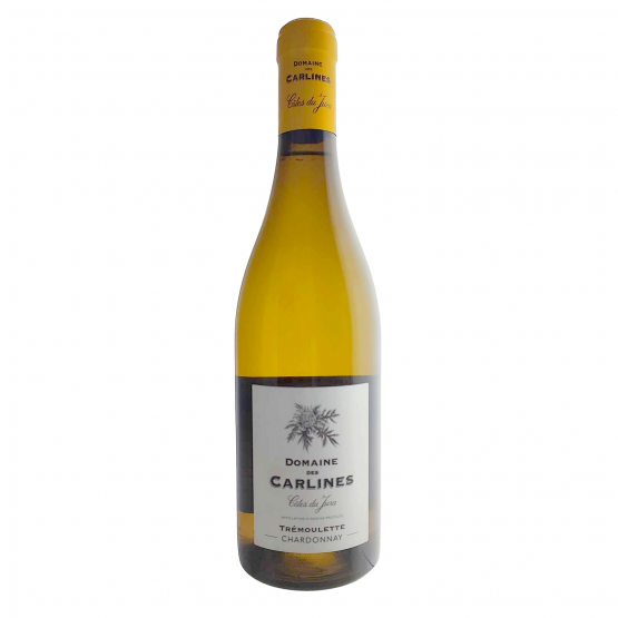 Tremoulette 2021 Blanc Chez Plaisirs du vin Agen