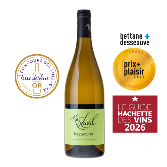 Les Pampres 2024 Blanc Chez Plaisirs du vin Agen