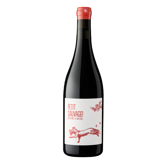 Petit Sauvage 2024 Rouge Chez Plaisirs du vin Agen