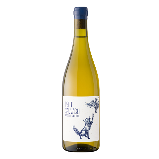 Petit Sauvage 2024 Blanc Chez Plaisirs du vin Agen