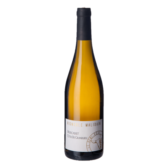 Le Demi-Boeuf Muscadet 2025 Blanc Chez Plaisirs du vin Agen