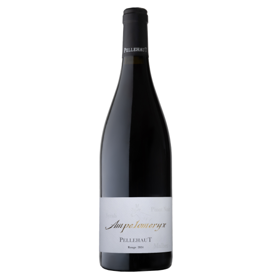 Ampélomeryx Rouge 2024 Chez Plaisirs du vin Agen