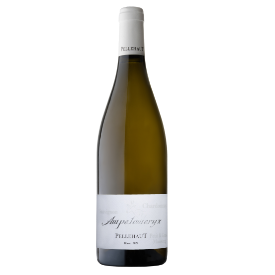 Ampelomeryx 2023 Blanc Chez Plaisirs du vin Agen