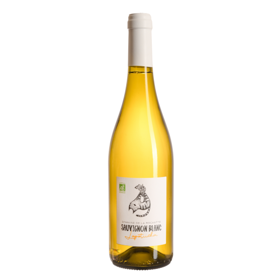 Sauvignon Lopotiicha Blanc 2025 Chez Plaisirs du vin Agen